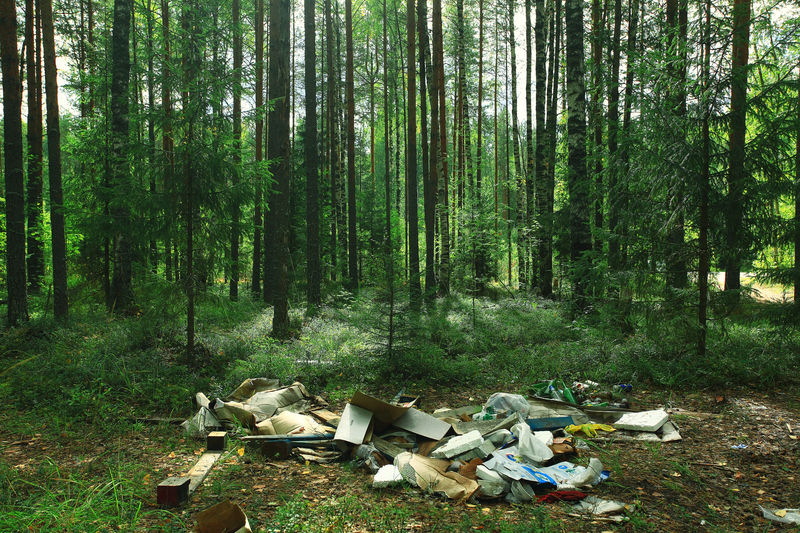 Turning Waste into Renewable Energy Resources
